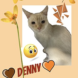 Thumbnail photo of Denny #1