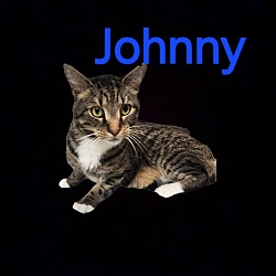 Photo of JOHNNY @ PETSMART JACKSON