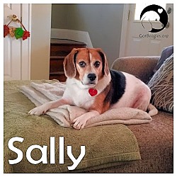 Thumbnail photo of Sally #1