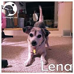 Thumbnail photo of Lena #1