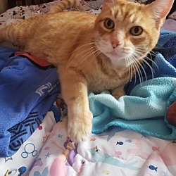 Photo of Kat