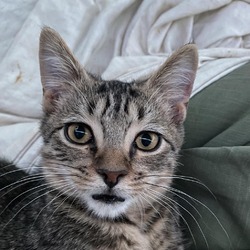 Photo of Edison JC