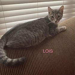 Photo of Lois