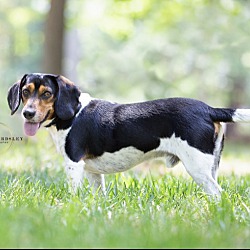 Thumbnail photo of REX #3