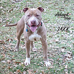 Thumbnail photo of Jaxx #3