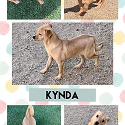 Thumbnail photo of KYNDA #2