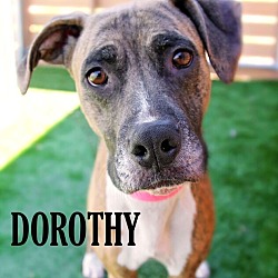 Thumbnail photo of Dorothy (Dottie) #3