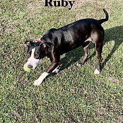 Thumbnail photo of Ruby Sky #4