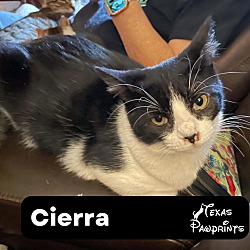 Photo of Cierra