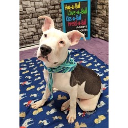 Photo of DUSTY MILLER