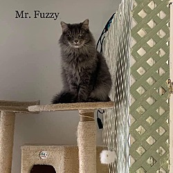 Photo of Mr. Fuzzy