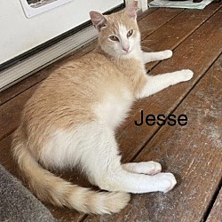 Photo of Jesse & (Jerry) FEE SPONSORED