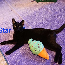 Thumbnail photo of Star #1