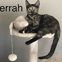 Thumbnail photo of Ferrah #1