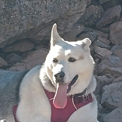 Photo of Katana