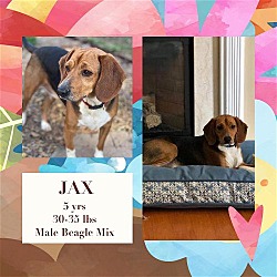 Photo of JAX