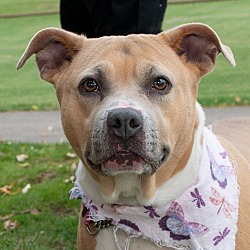Photo of Tater