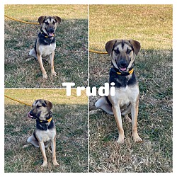 Photo of Trudi