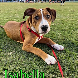 Thumbnail photo of Isabella #3