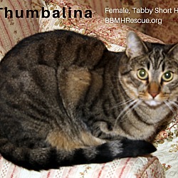 Thumbnail photo of Thumbalina #2