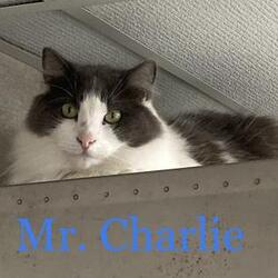 Photo of Mr. Charlie