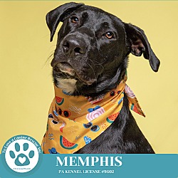 Thumbnail photo of Memphis 062224 #1