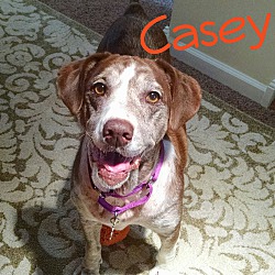 Photo of Casey - Endless Love & Laughs!