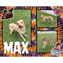 Photo of MAX