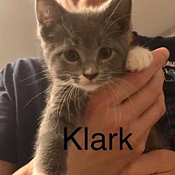 Photo of Klark
