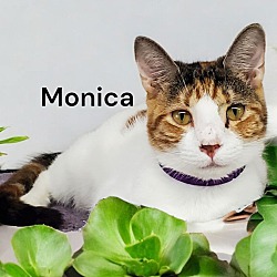 Thumbnail photo of Monica #1