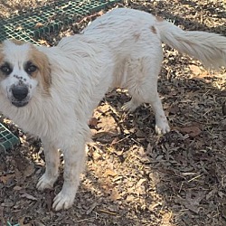 Photo of Smiley