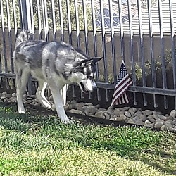Photo of atlas