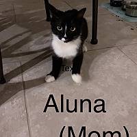 Photo of Aluna