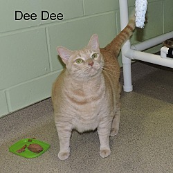 Thumbnail photo of Dee Dee #3