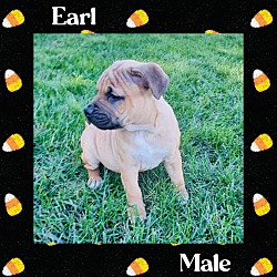 Thumbnail photo of Earl #3