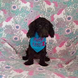 Photo of YANG
