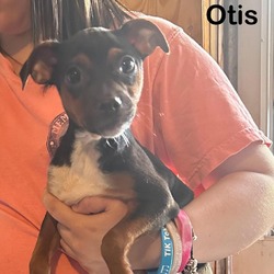 Photo of Otis D16115