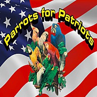 Photo of Available Parrots 4 Veterans