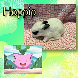 Thumbnail photo of Hoppip #4