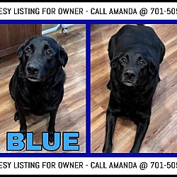 Photo of Blue-COURTESY LISTING FOR OWNE