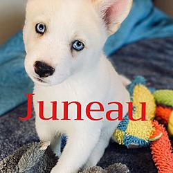 Photo of Juneau