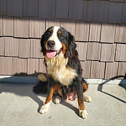 Photo of Macy