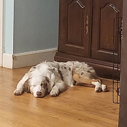 Photo of DAISY