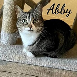 Photo of Abby