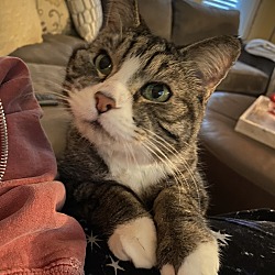 Photo of Tom Tom