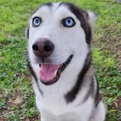 Photo of Maya
