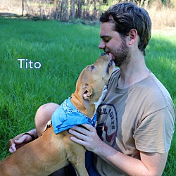 Thumbnail photo of Tito #4