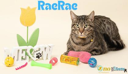 Photo of RaeRae
