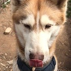 Photo of Coco