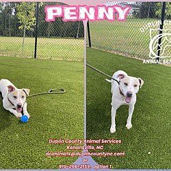 Photo of PENNY